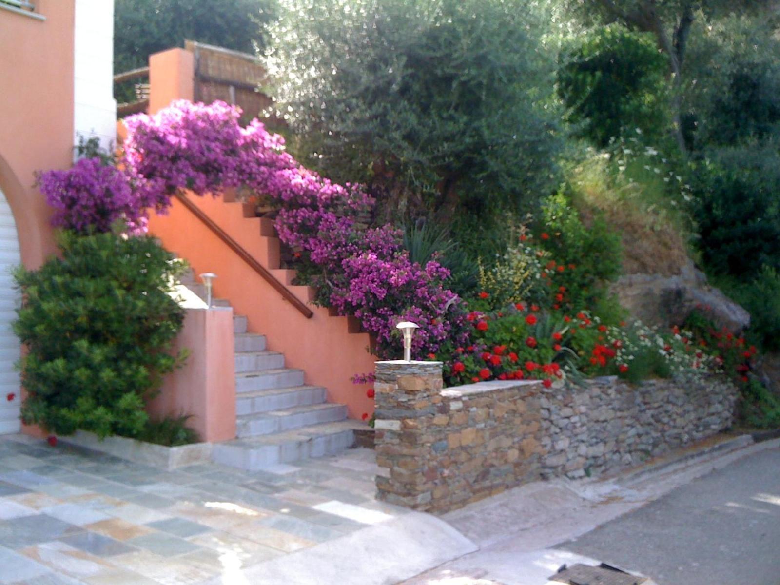 U Sant'Agnellu Rogliano Exterior foto